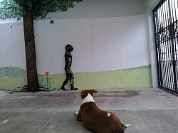 Ambientação com as técnicas do Graffiti - Residência - São Caetano do Sul