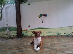 Ambientação em fase de acabamento - Polacca interage - São Caetano do Sul